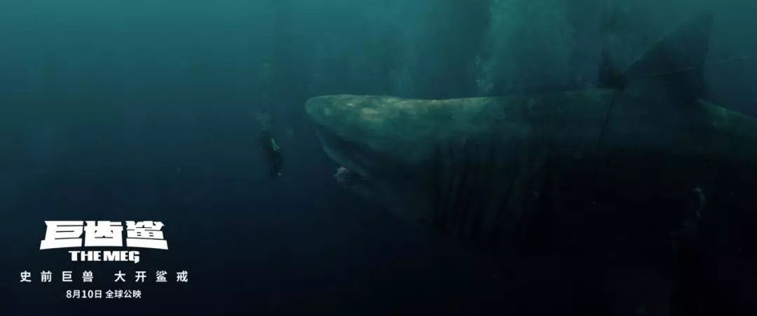 【巨齿鲨】你们要的“鲲”来了，鲨鱼家族中的巨无霸！