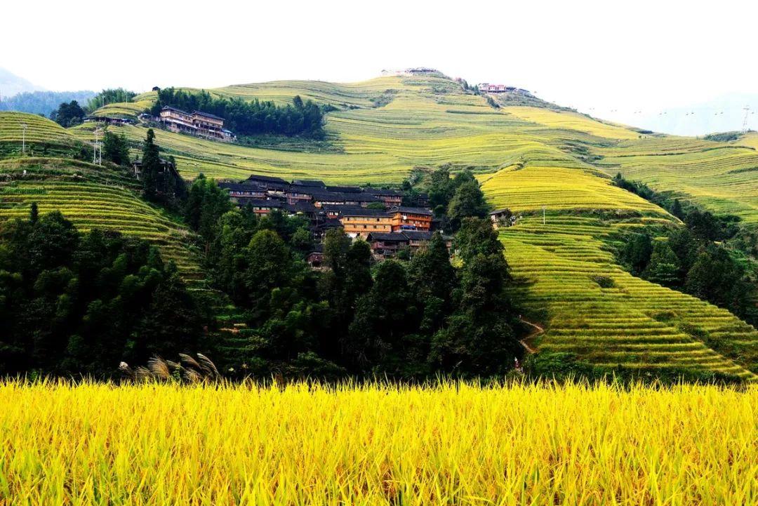 9月最佳旅行地 ，这些地方藏着中国初秋最美的景色！