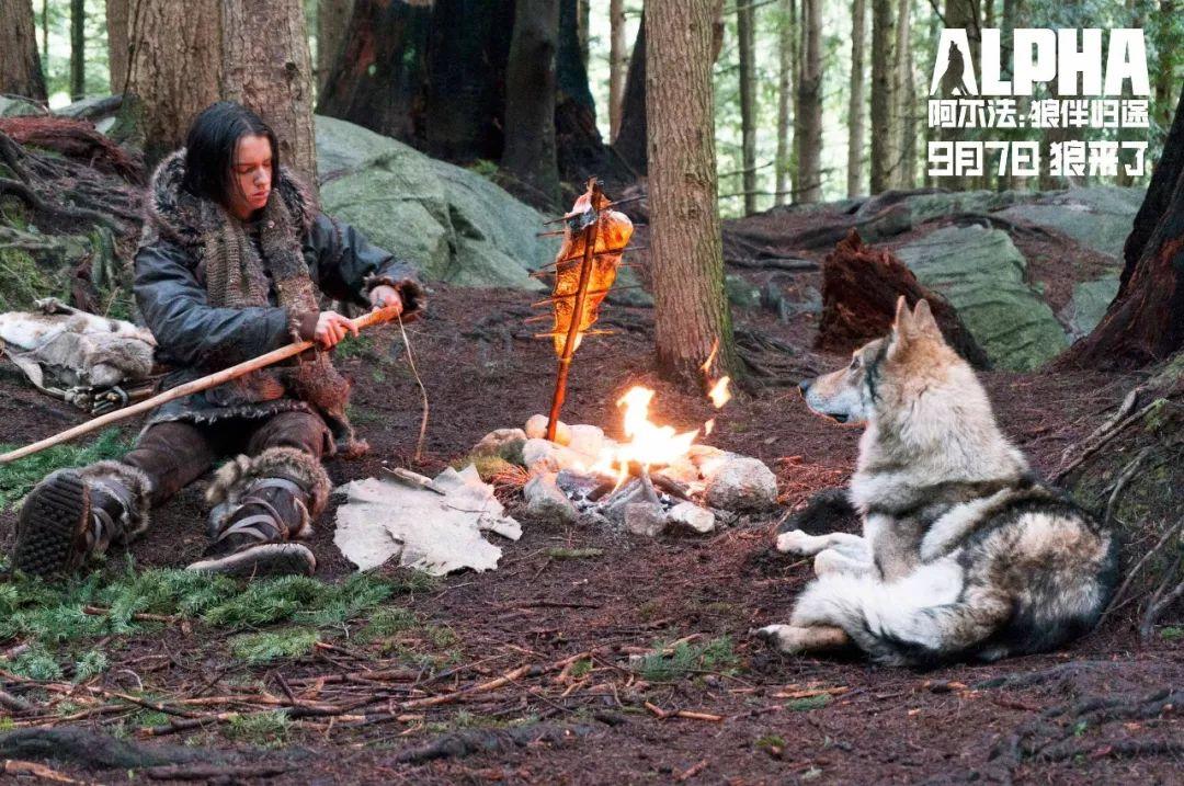 【阿尔法：狼伴归途】一人一狼穿越冰川时代