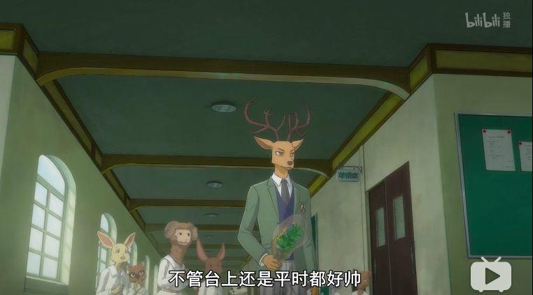 9.8分最强番，一言不合就开始飙车