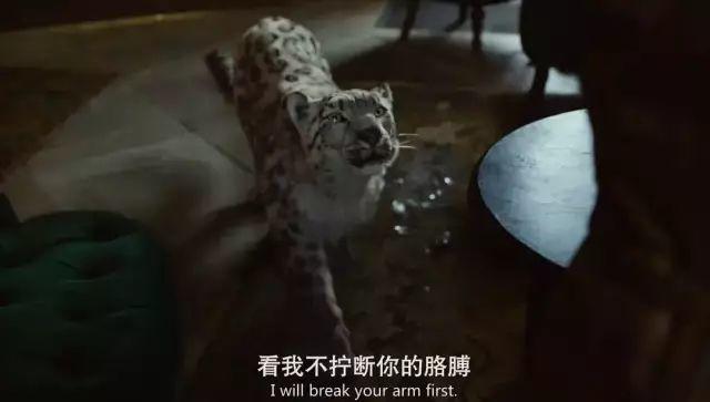 700万人熬夜追剧，打破5年收视纪录，这年度神剧真的爆了