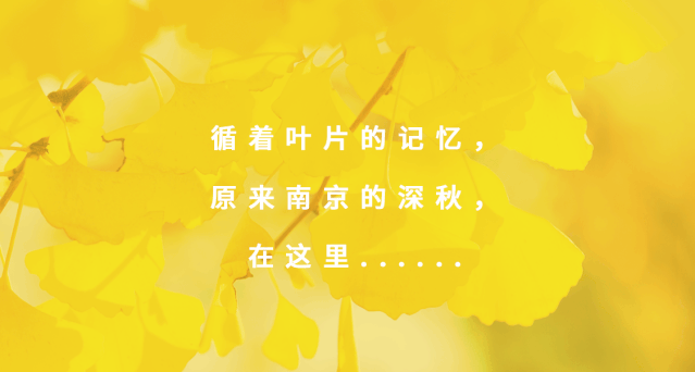 新街口出发6公里，我在这里寻到金陵的深秋！