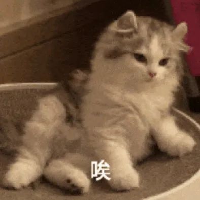 钮承泽性侵女助理获刑四年；《狮子王》动画师苏利文因新冠去世