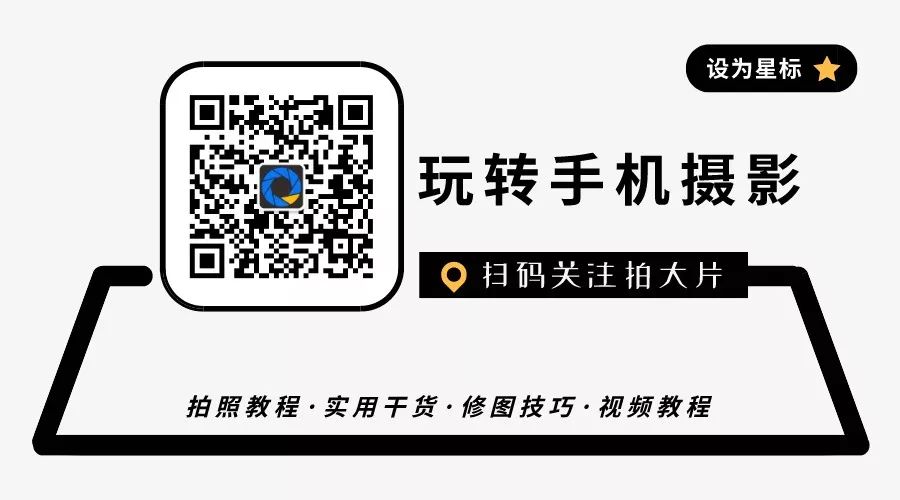2020已过三分之一，再不认识它们就真的晚了！