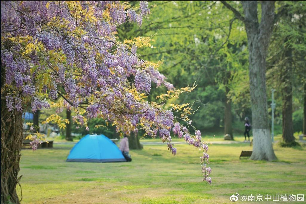 暴露了！南京人私藏的10大冷门景点藏不住了！