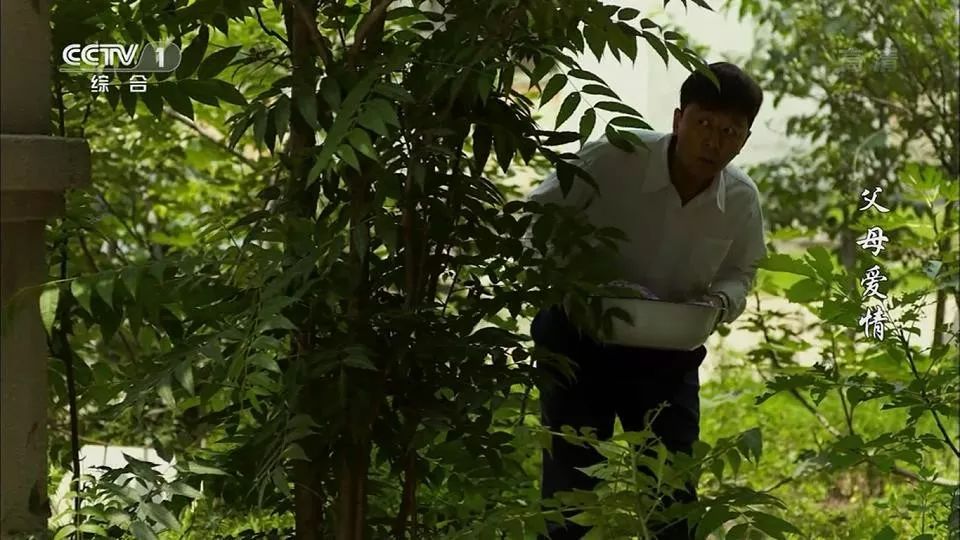 13万人评出9.5分，这样的良心国产剧，十年才出一部