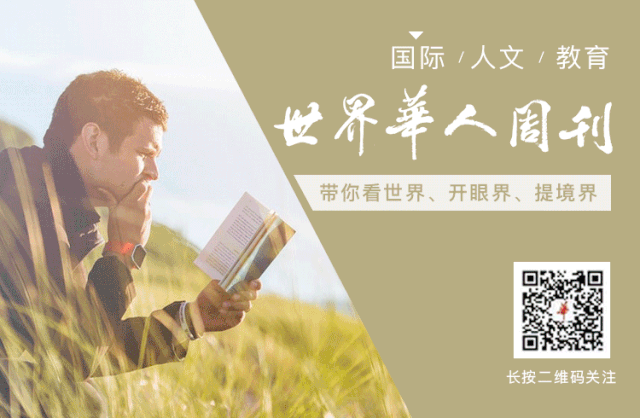 2020已过三分之一，再不认识它们就真的晚了！