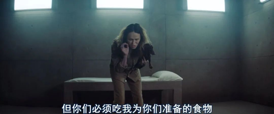 ​《雪国列车》垂直升级版，脑洞巨大，内涵深刻