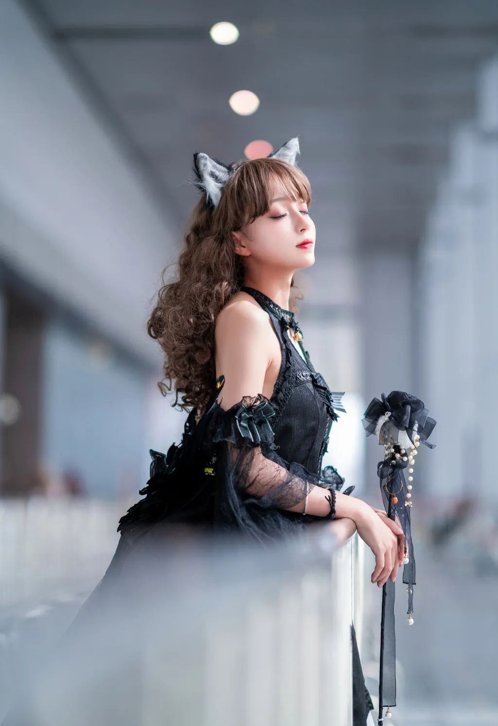 黑色猫咪