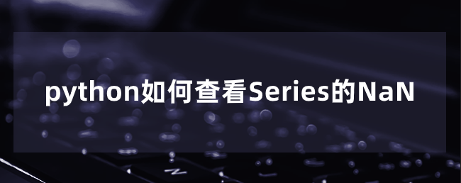 python如何查看Series的NaN