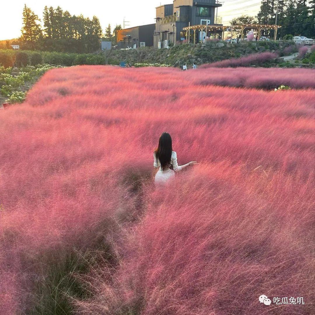 INS网红 | _aarome