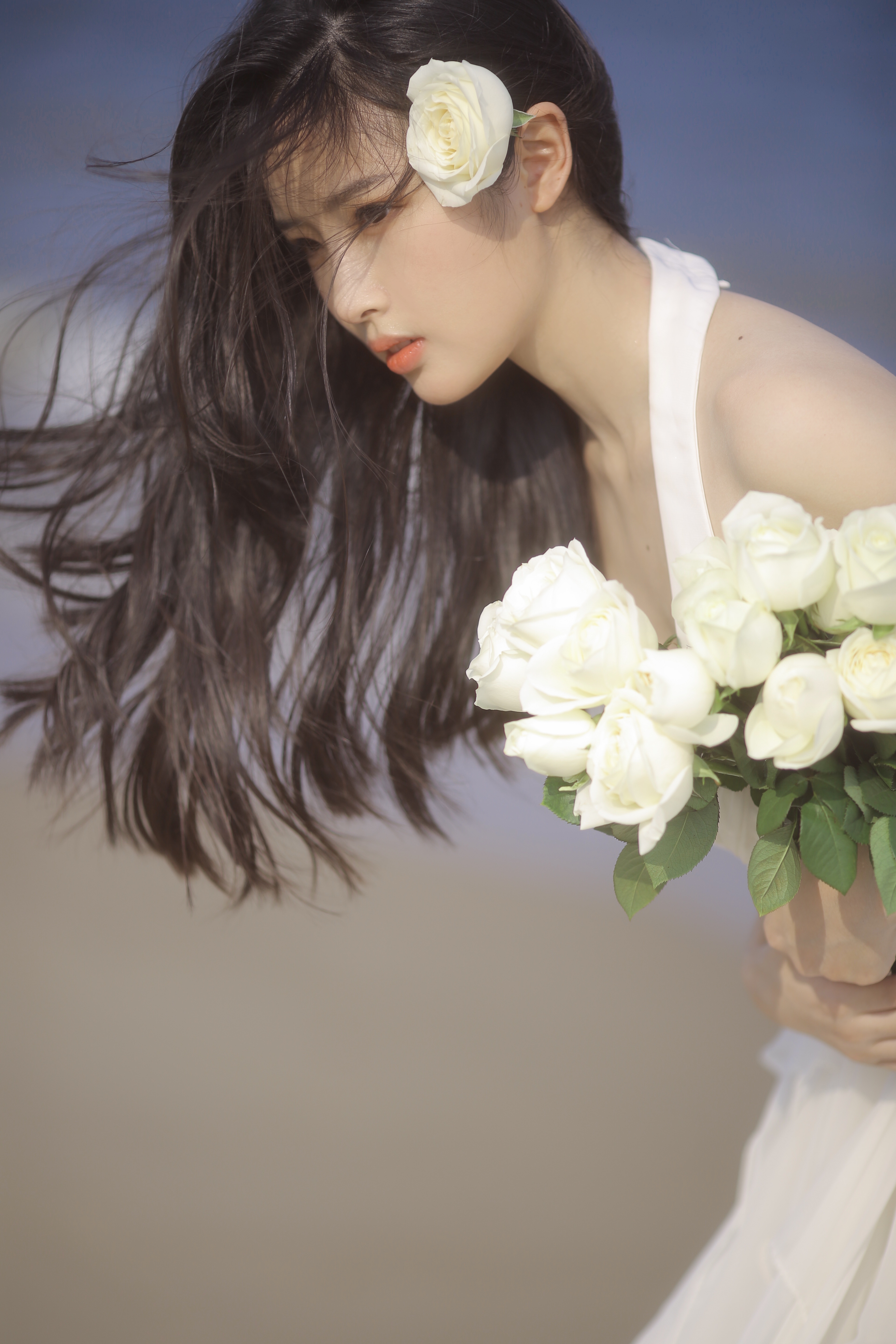 风之白玫瑰-唯美女生
