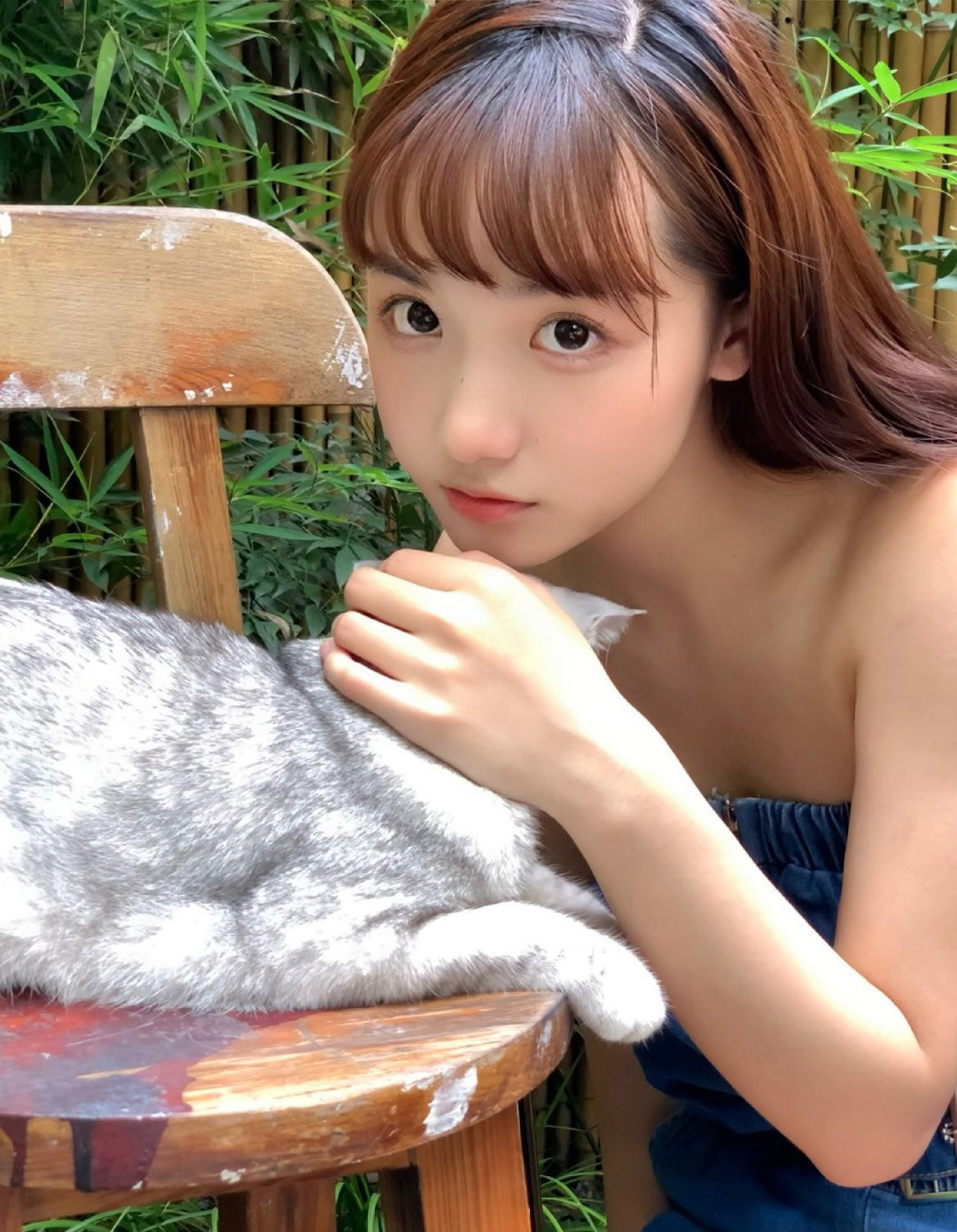 猫咪与我-唯美女生