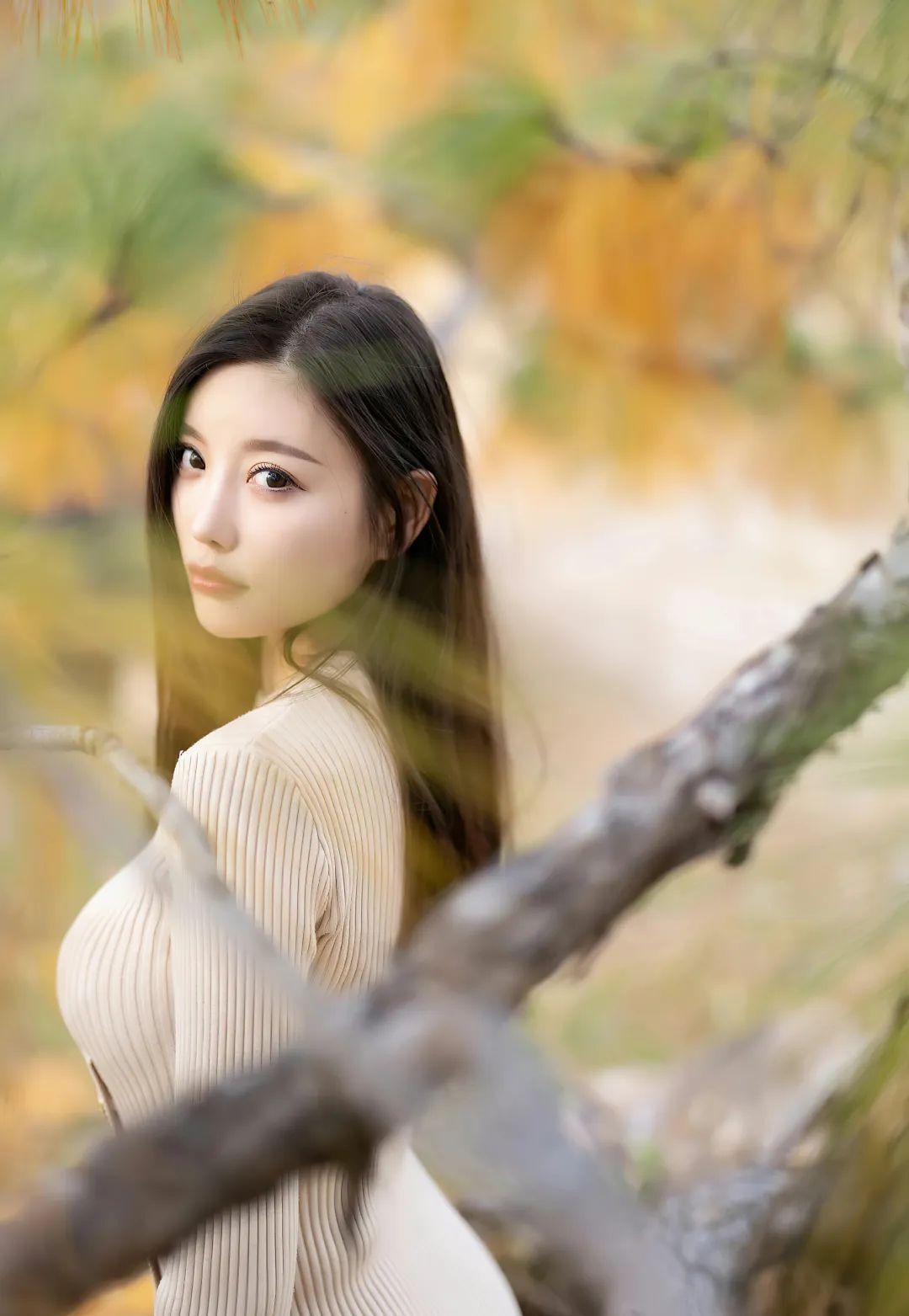 秀人网写真 | 杨晨晨 女神