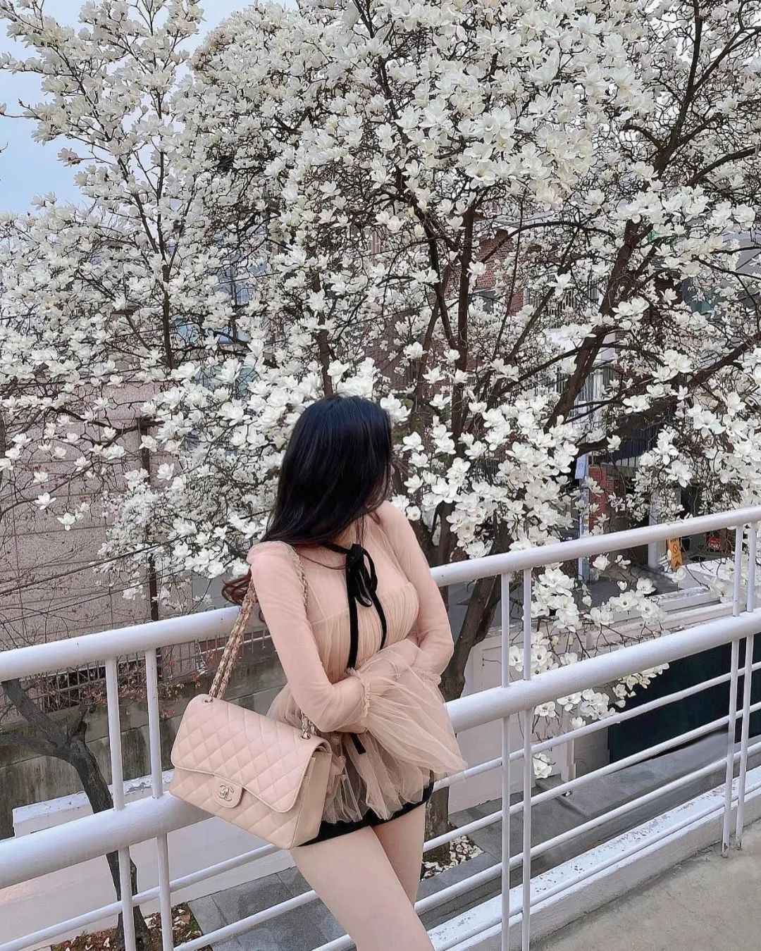 纯情小姐姐~