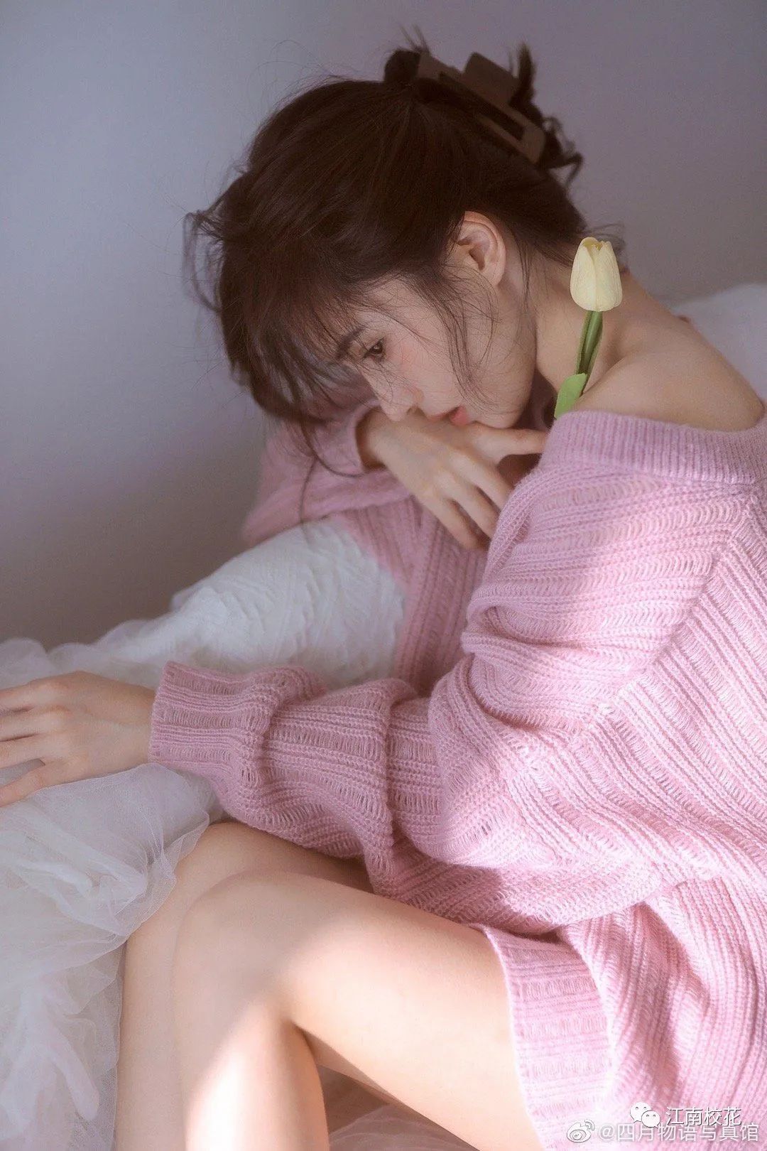 江南校花 | 冬天就要靠近温暖的人和事