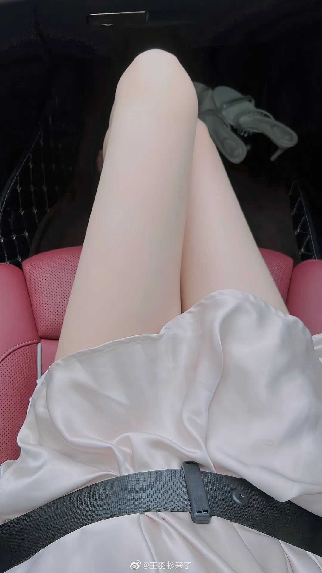 羽杉来了