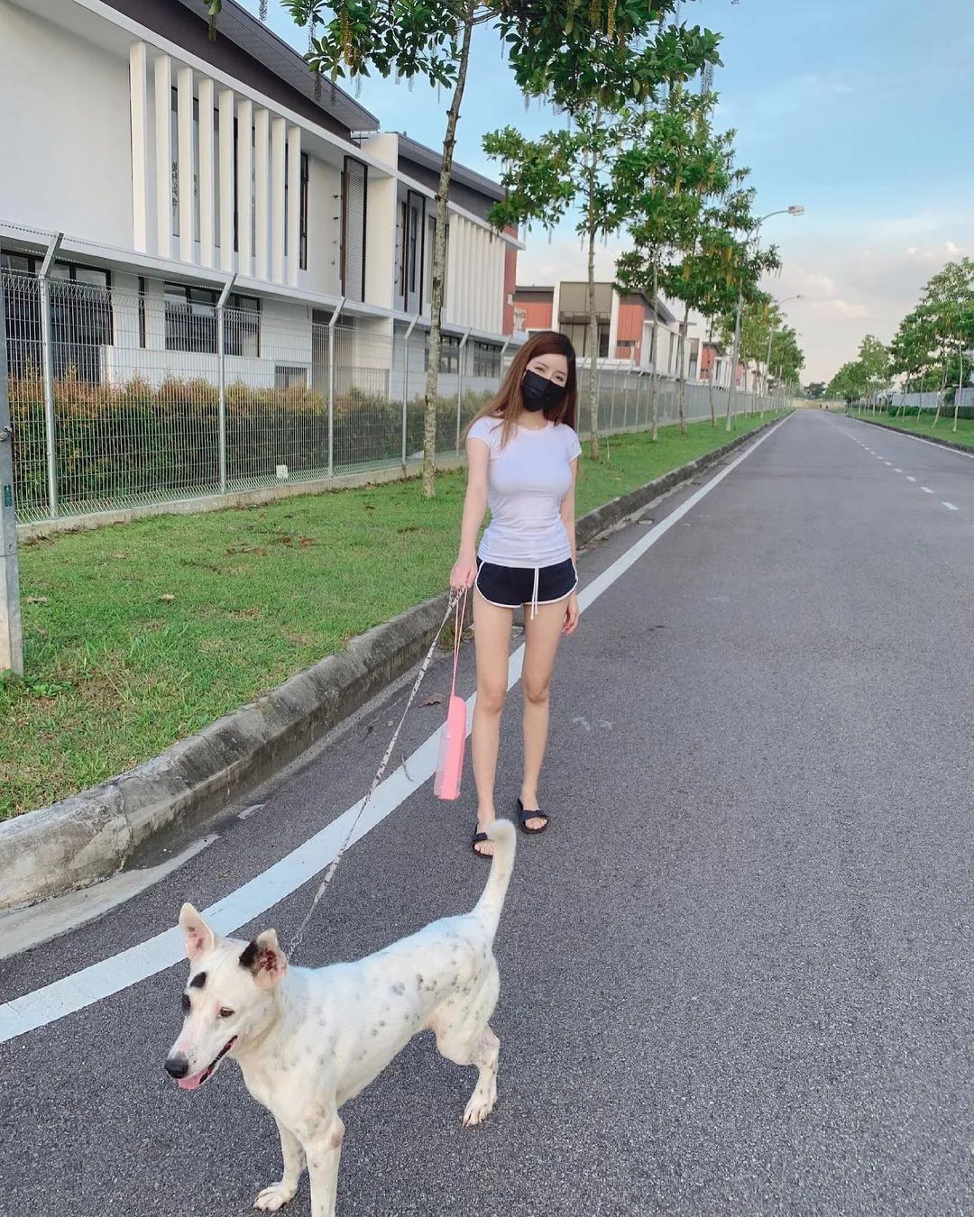 就是很挺的 小姐姐
