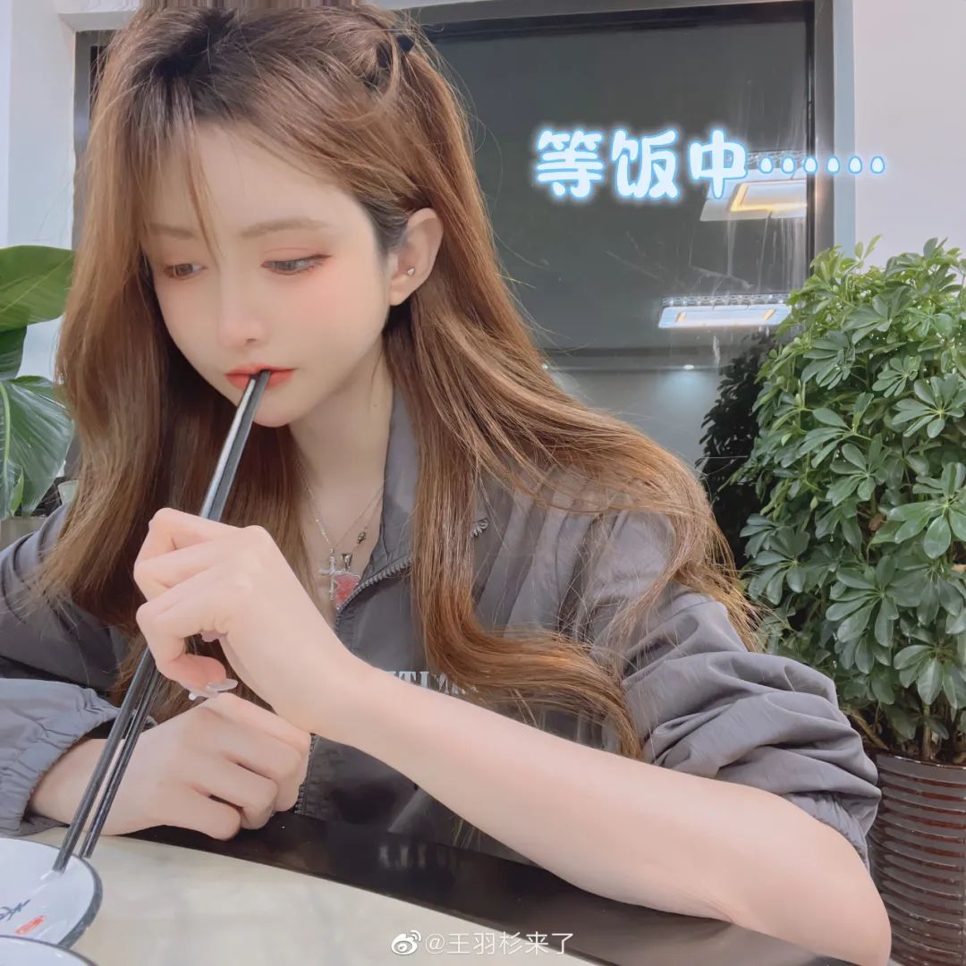 羽杉来了