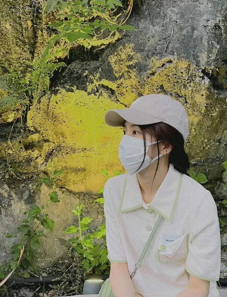 白鹿||微信朋友圈背景图