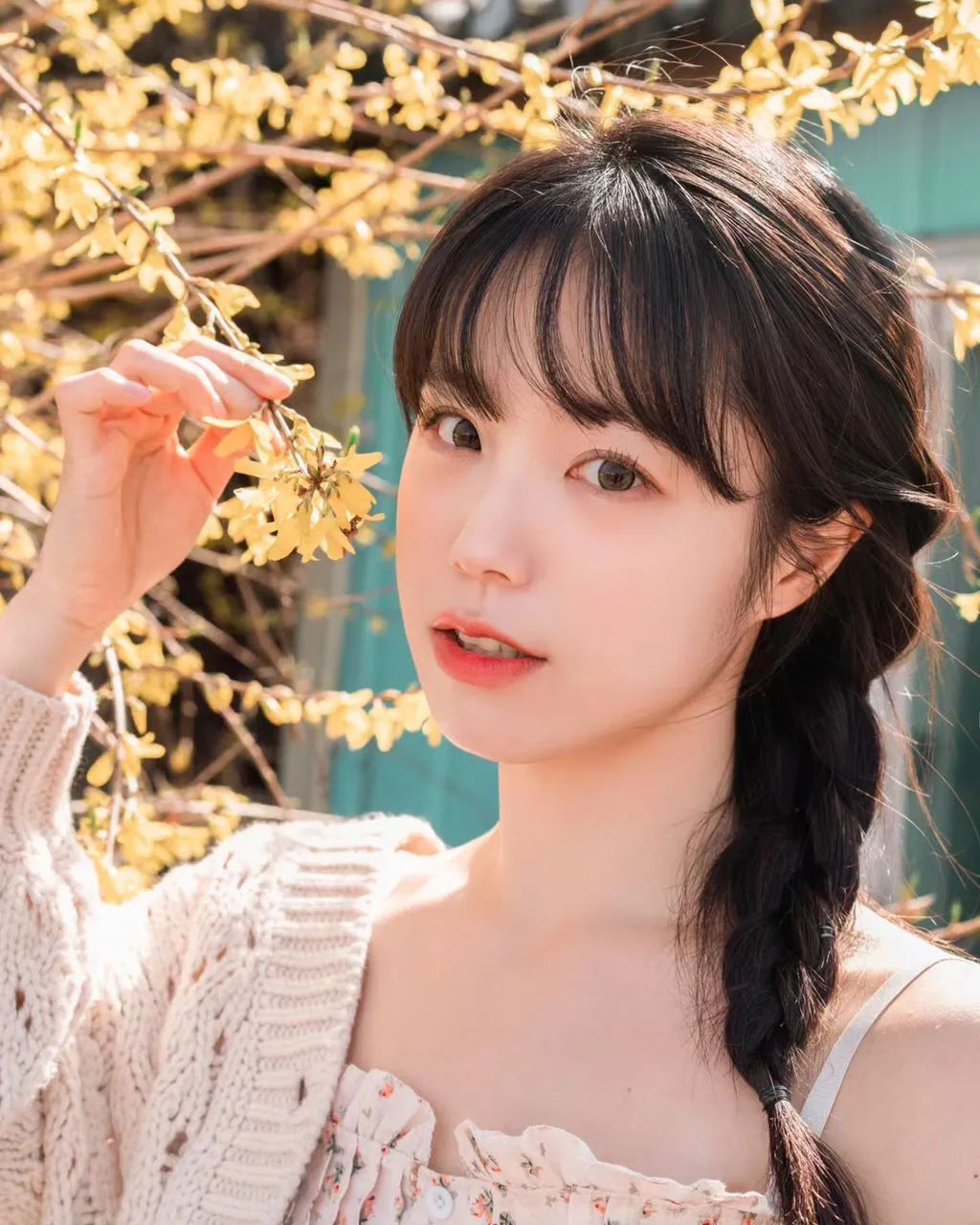 春天的花朵