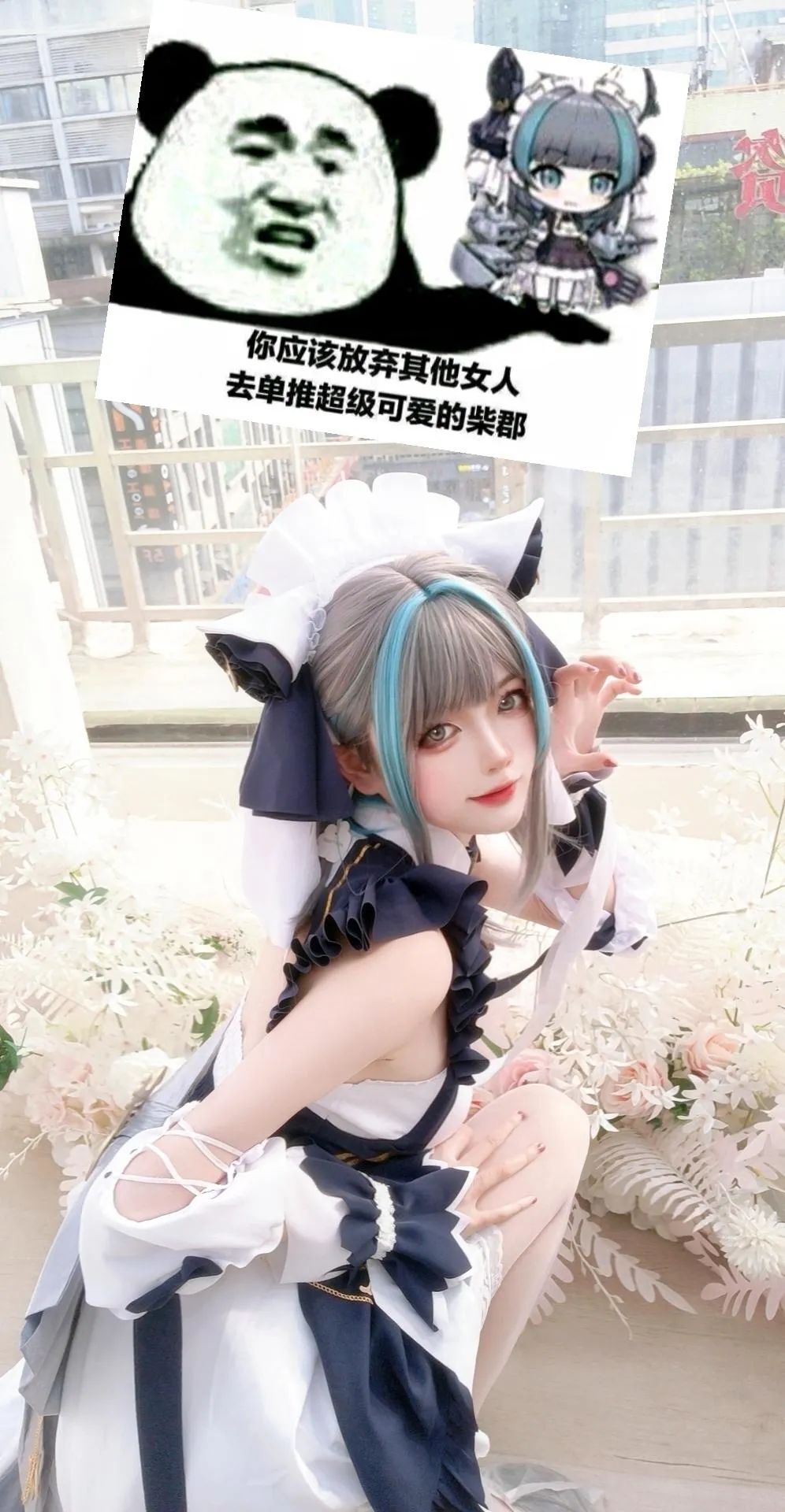 cosplay：碧蓝航线  柴郡