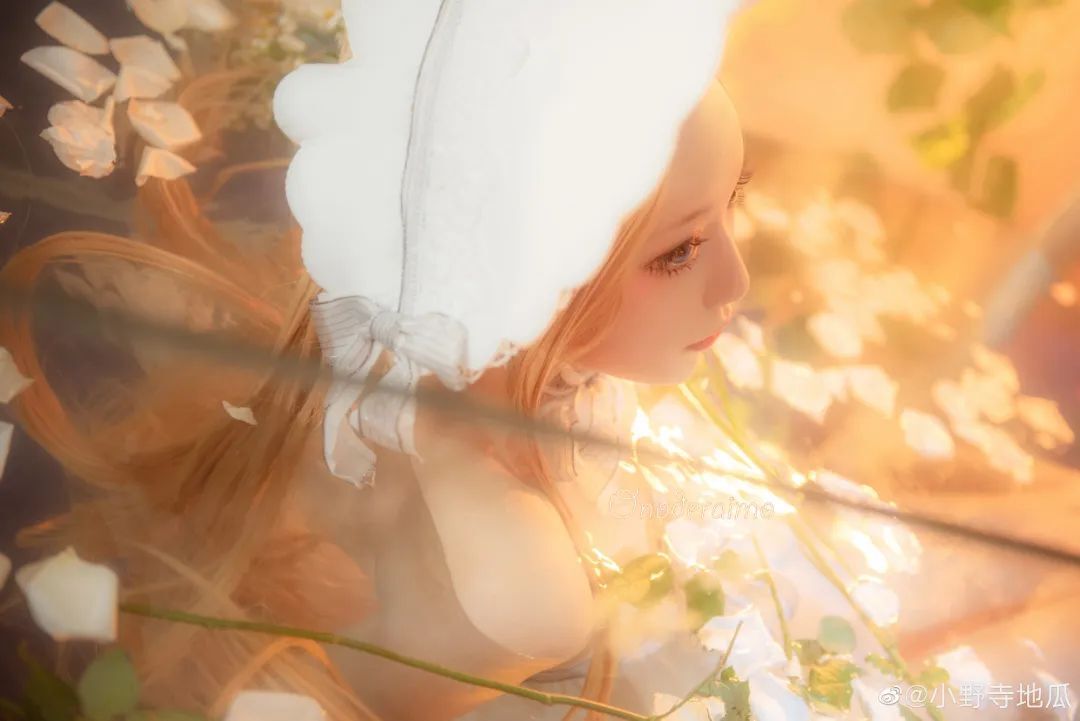 cosplay：Fate/Grand Order  阿比盖尔·威廉姆斯