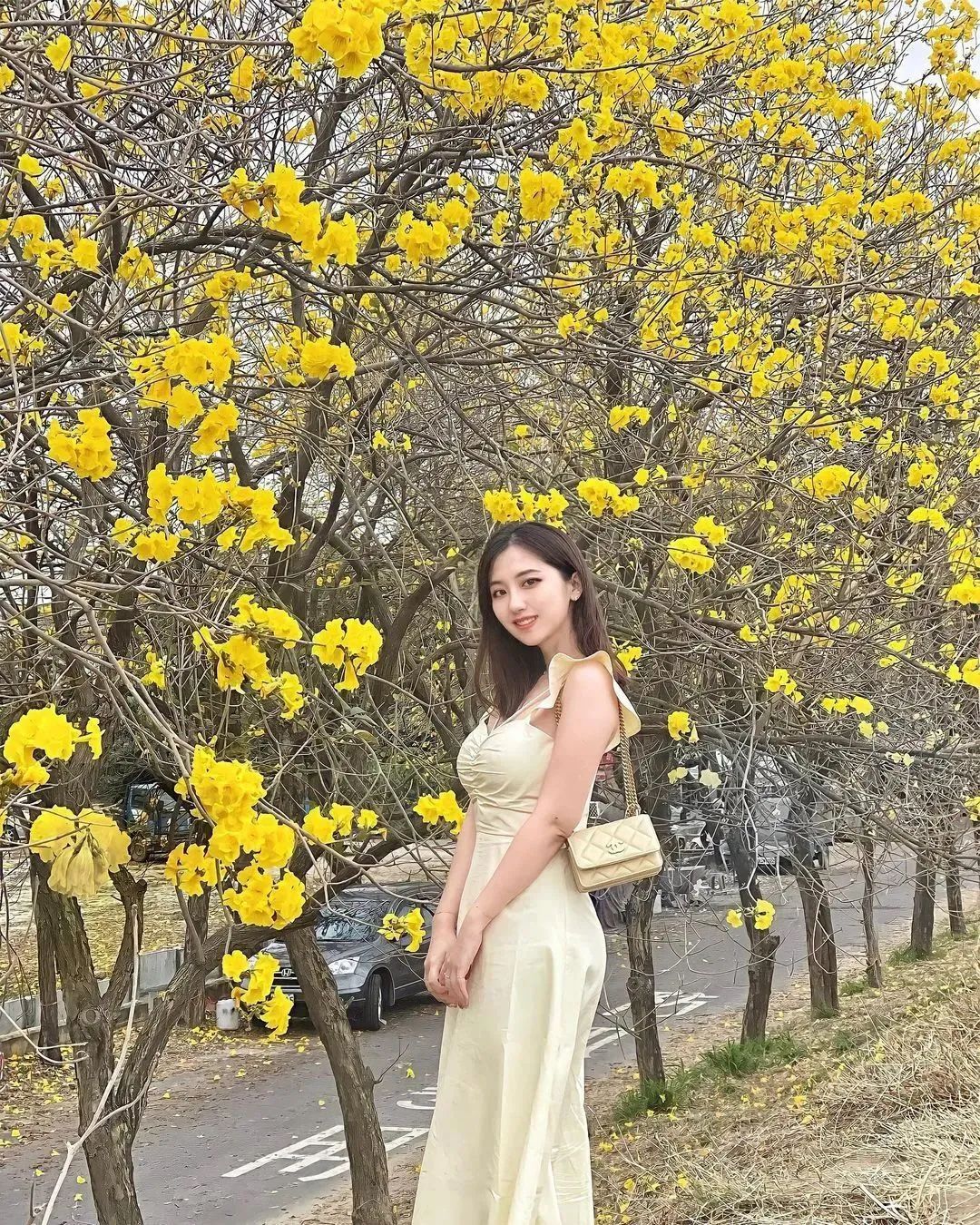 何蓁，清新脱俗的气质女神