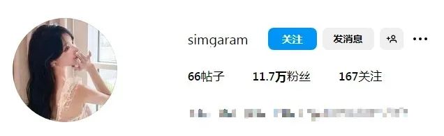 韩国网红 | sim