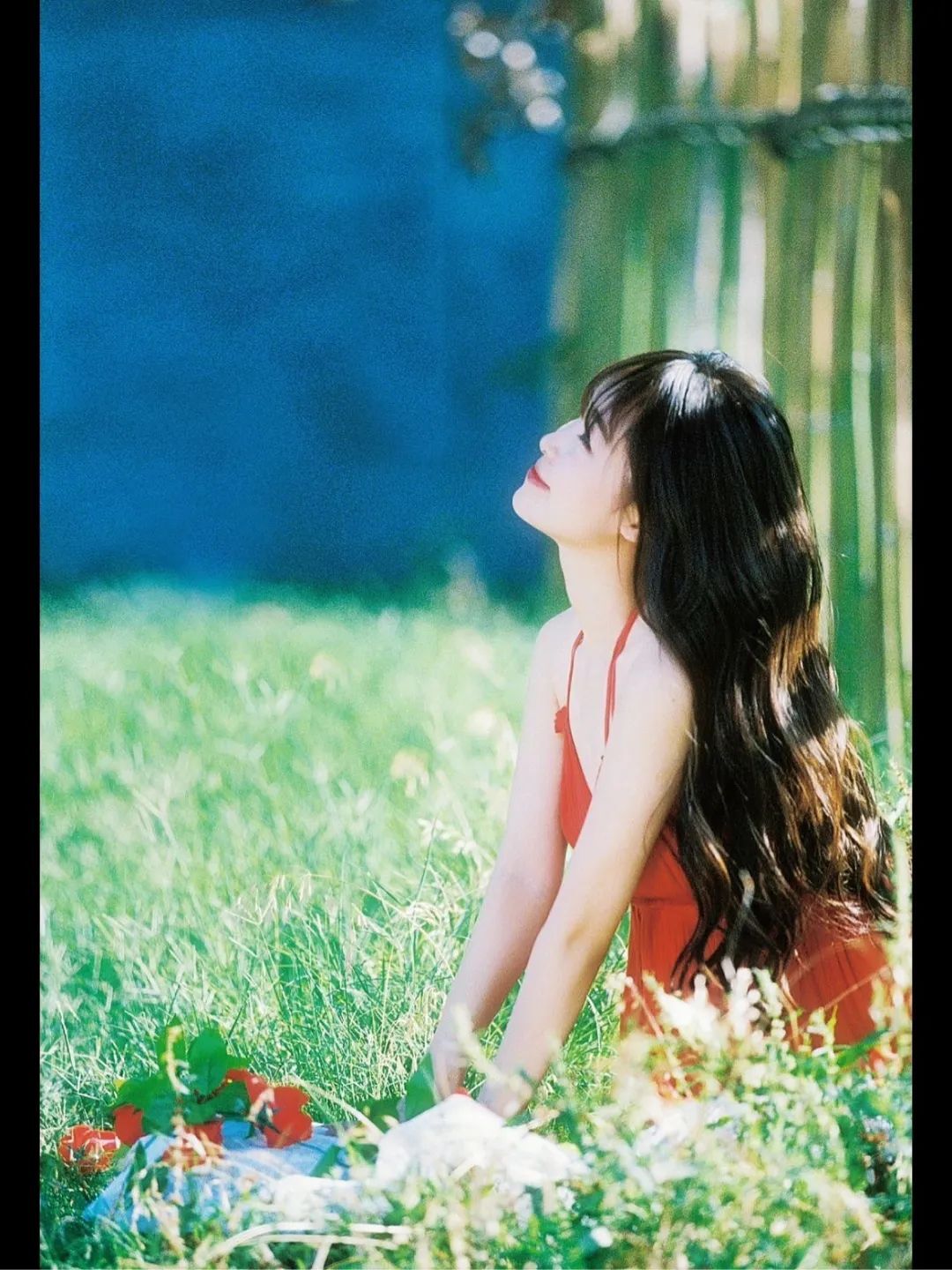 [仙女集]别问我为什么喜欢夏天，因为爱看她