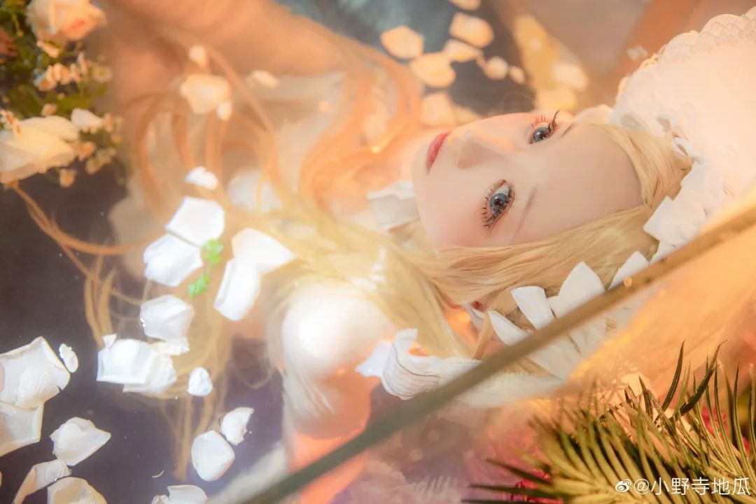 cosplay：Fate/Grand Order  阿比盖尔·威廉姆斯