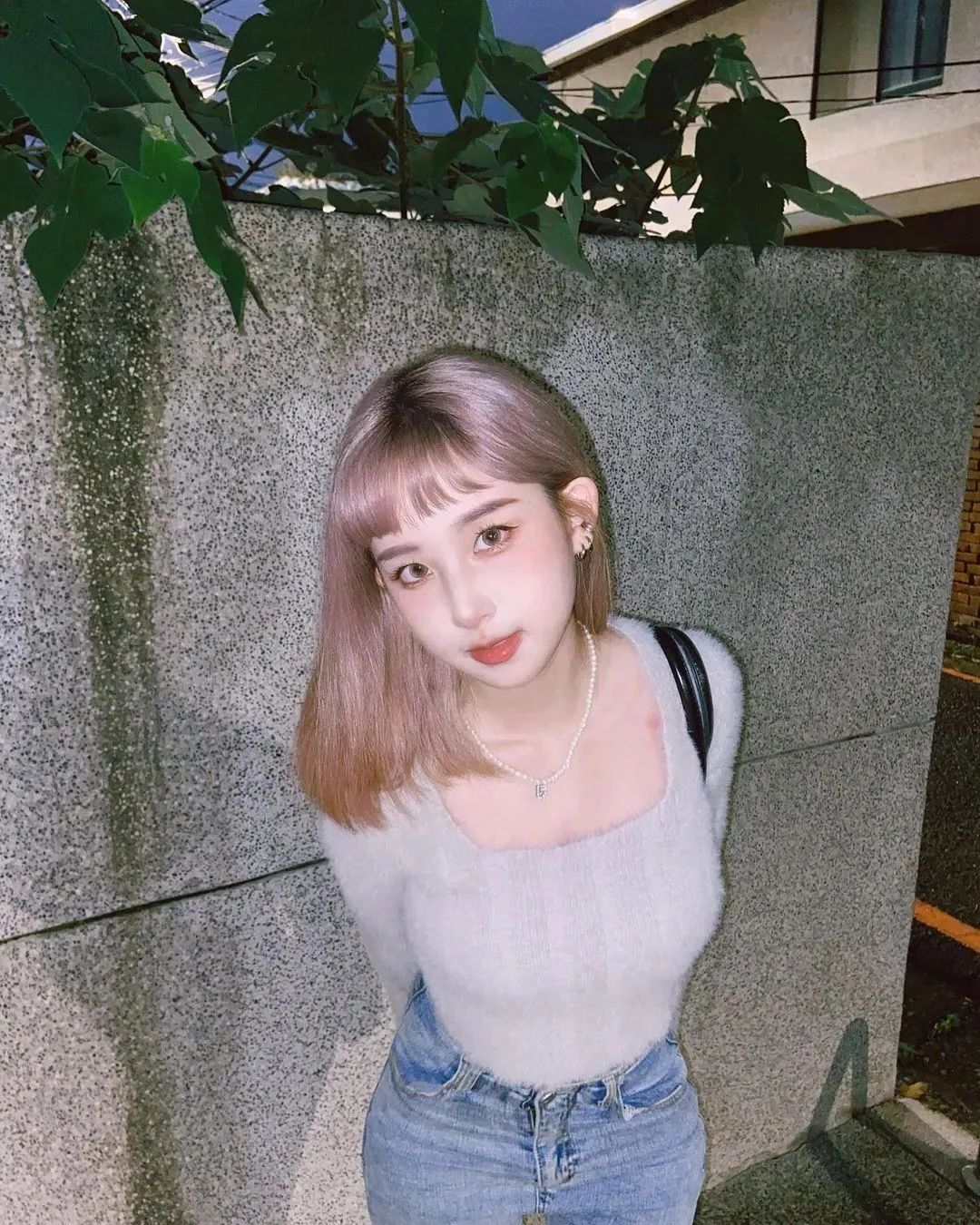[仙女集]有美一人，婉如清扬