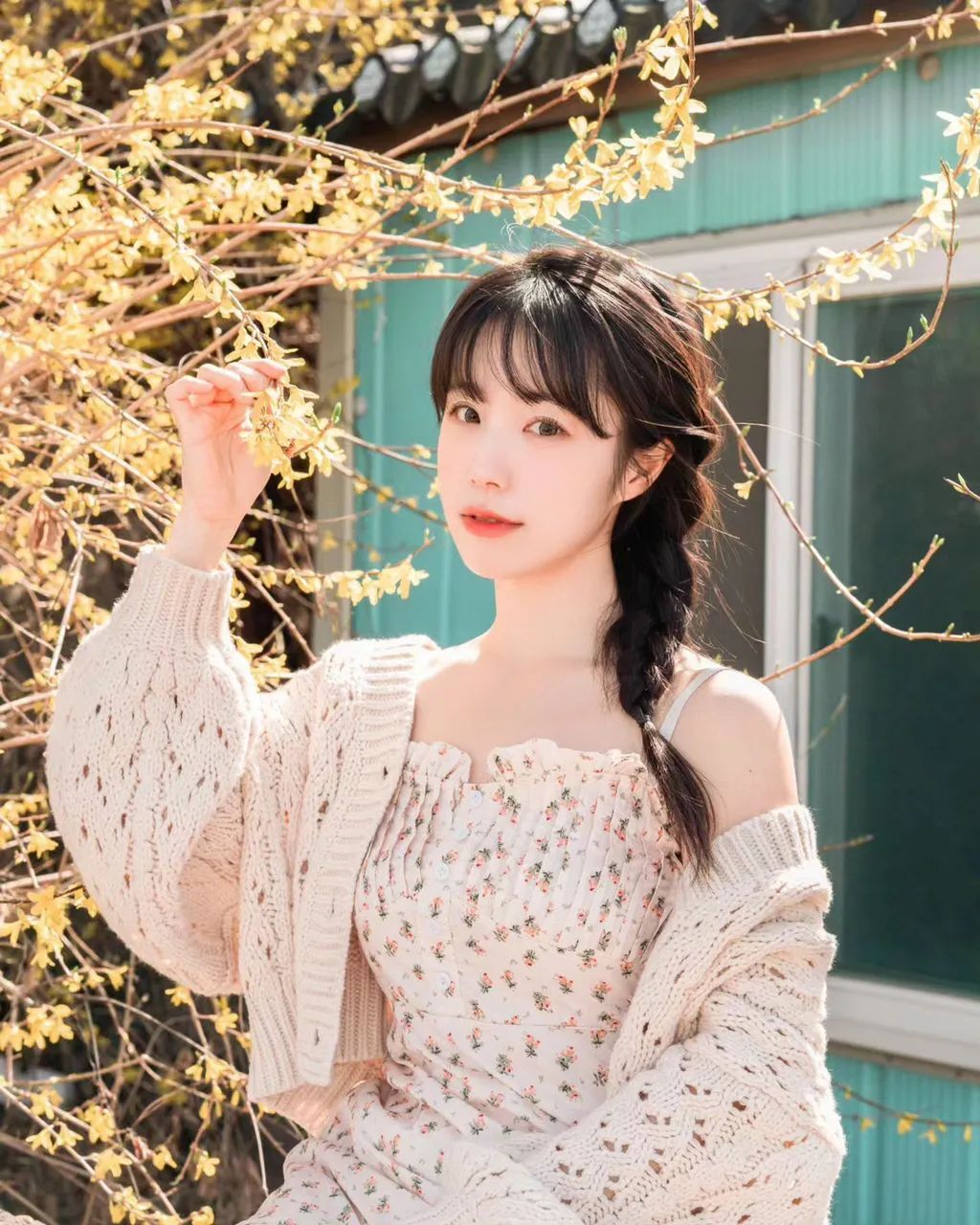 春天的花朵