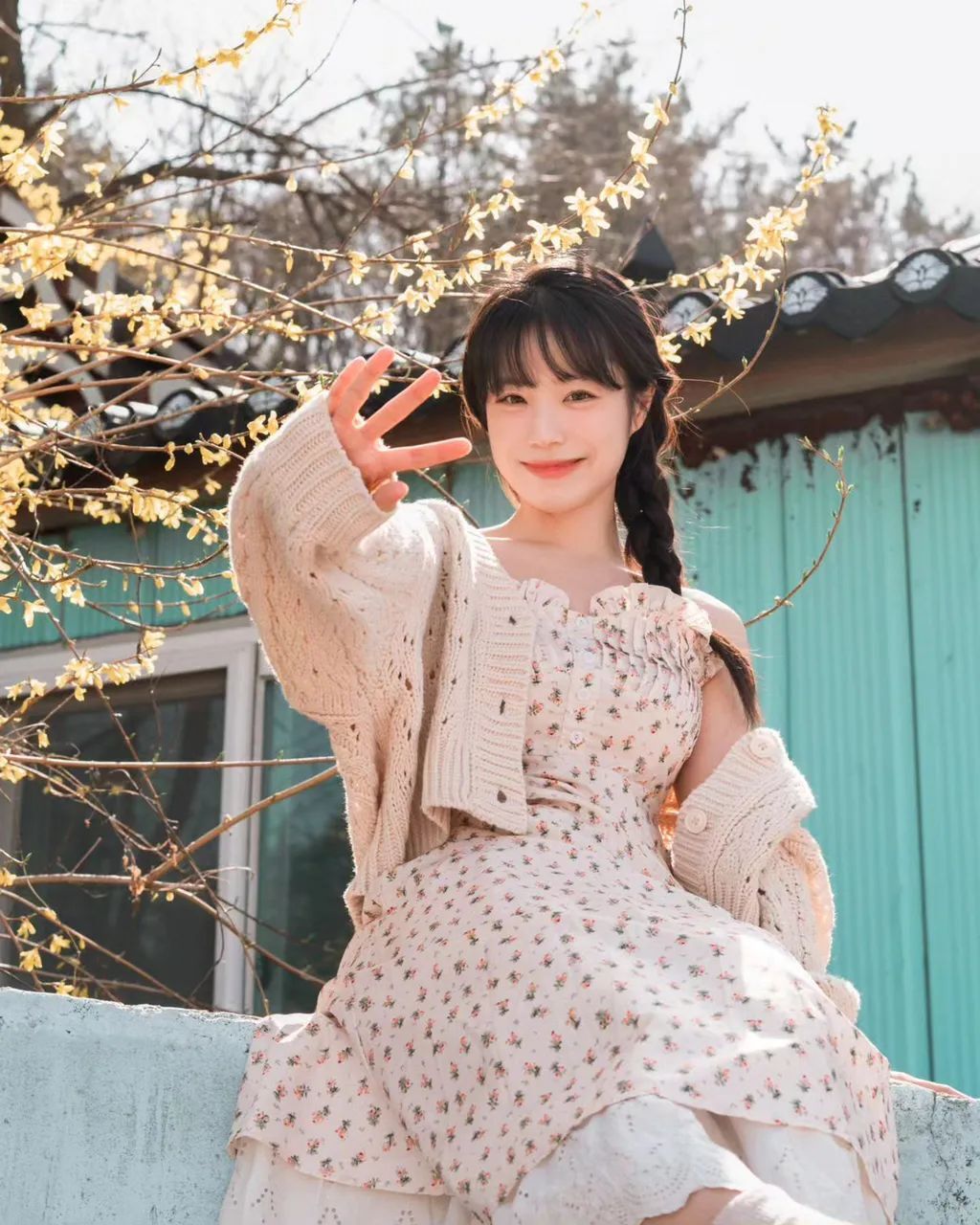 春天的花朵