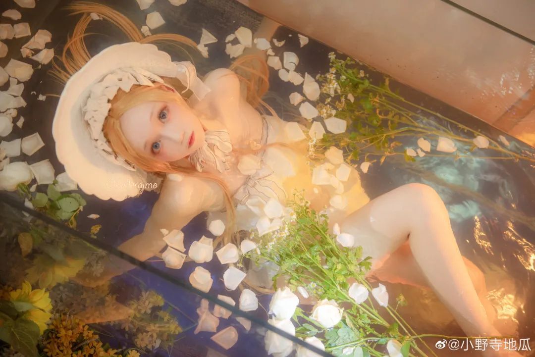 cosplay：Fate/Grand Order  阿比盖尔·威廉姆斯