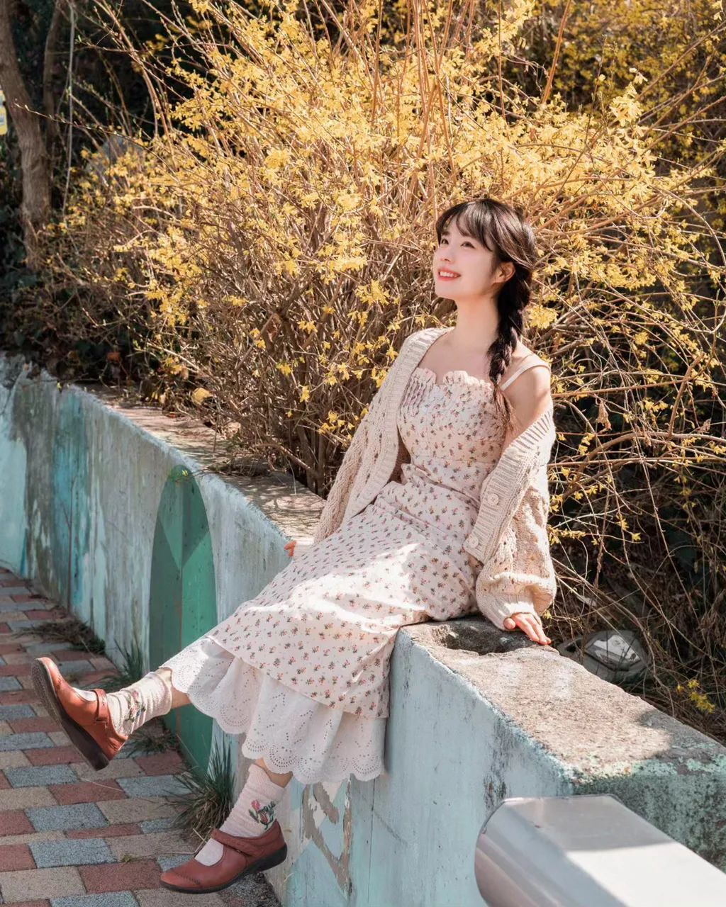 春天的花朵