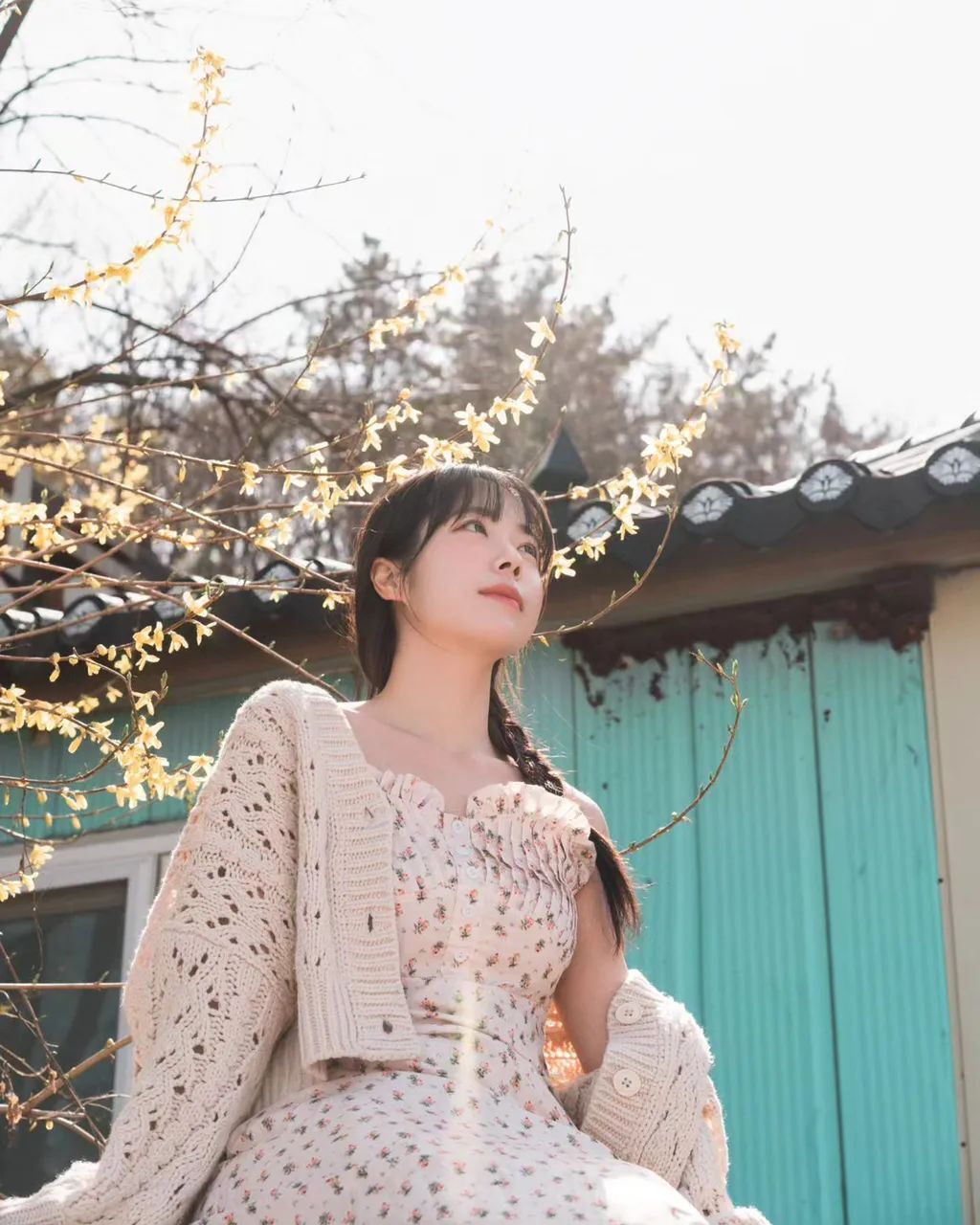 春天的花朵