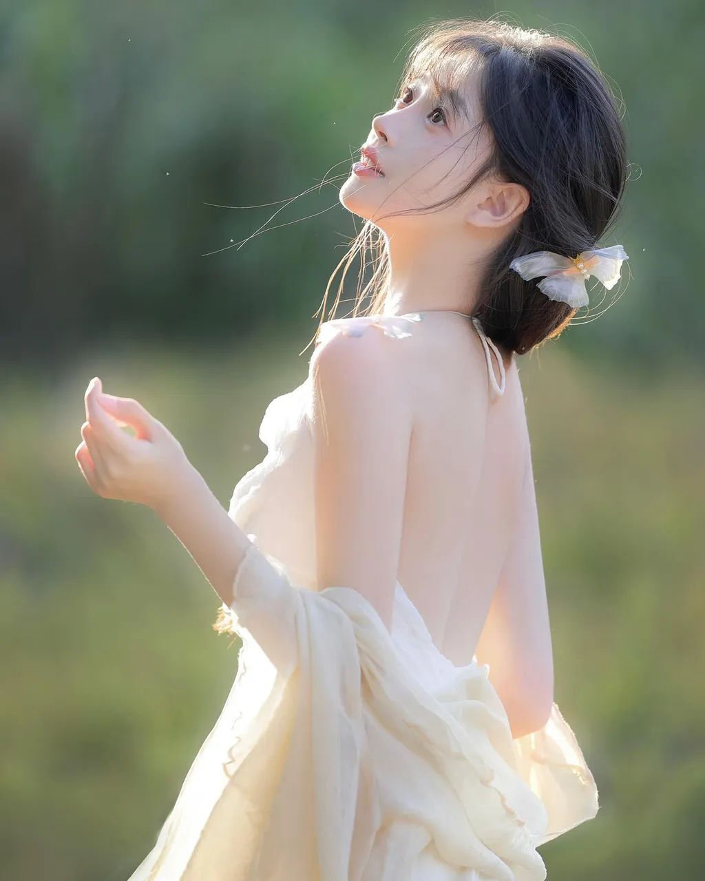 蝴蝶入梦