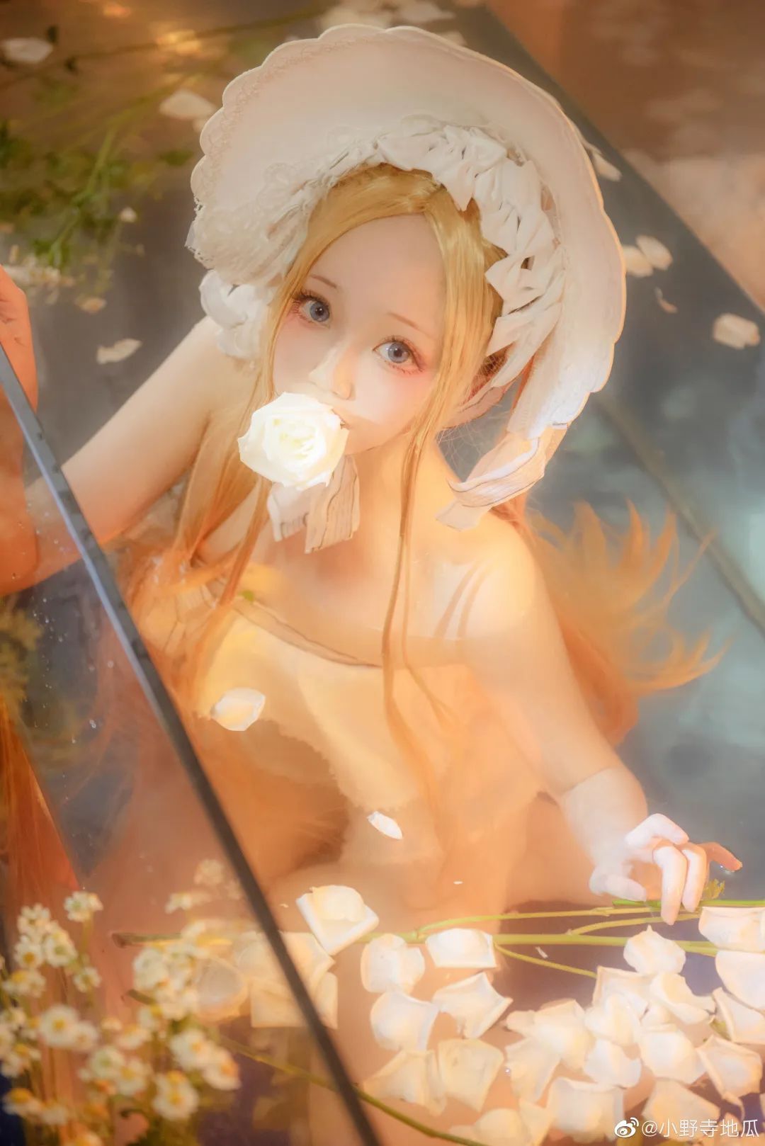cosplay：Fate/Grand Order  阿比盖尔·威廉姆斯