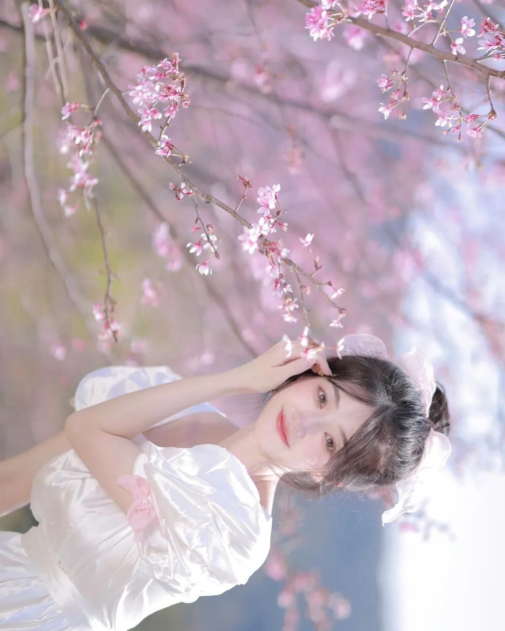 你也是春天里的一束光