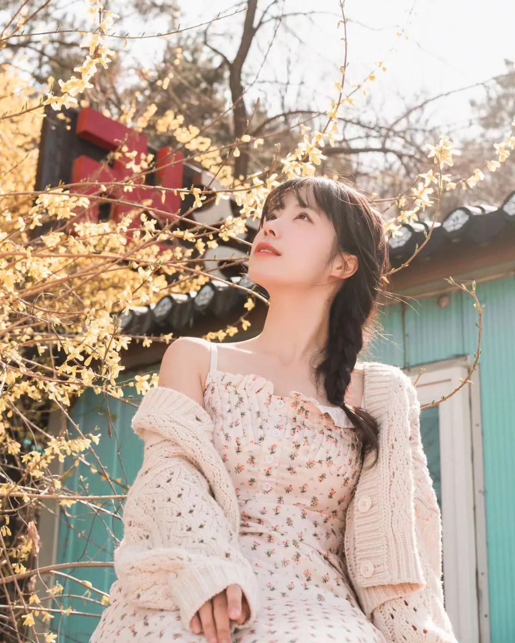春天的花朵