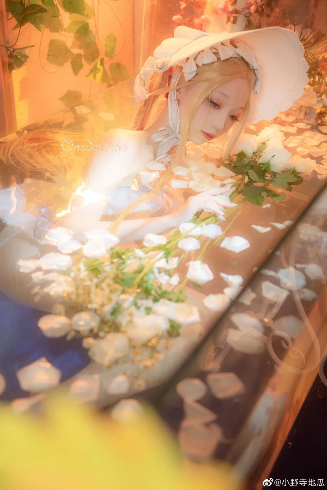 cosplay：Fate/Grand Order  阿比盖尔·威廉姆斯
