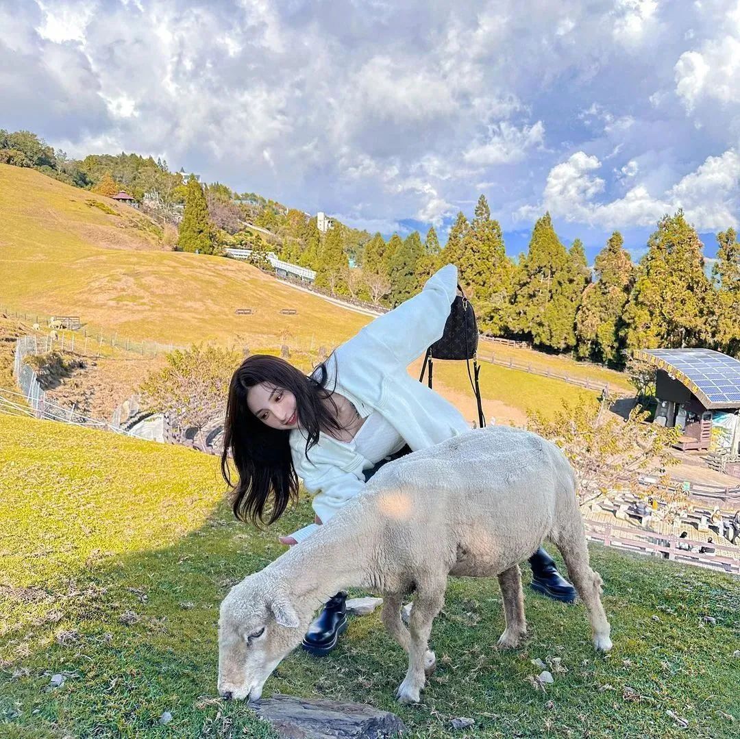 [仙女集]芙蓉如面柳如眉，对此如何不泪垂