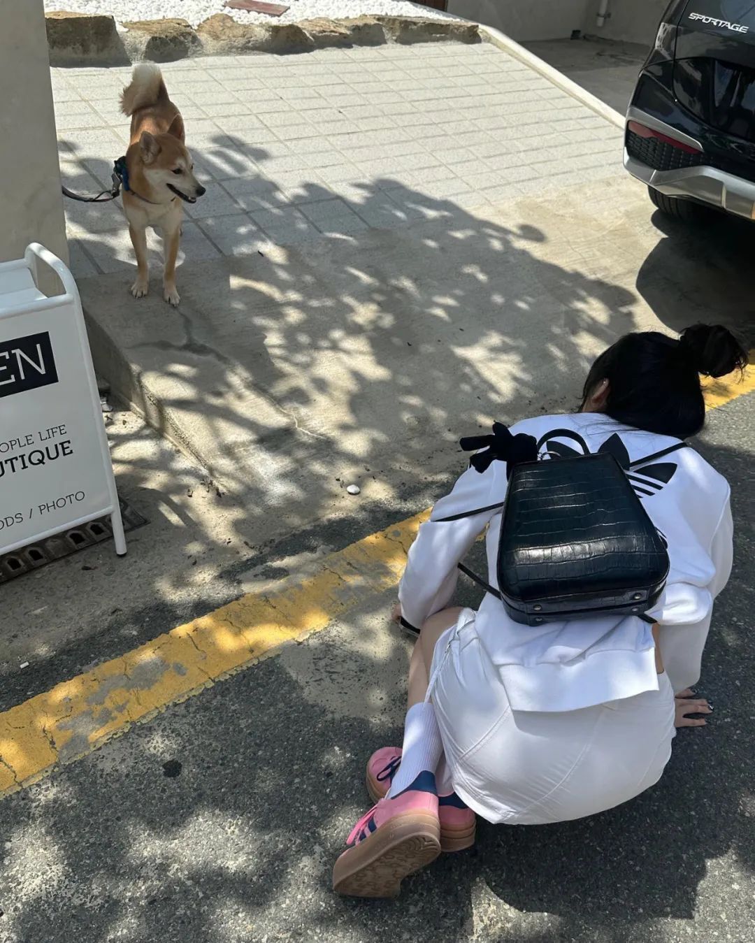 [仙女集]有凶器，有身材，还有...