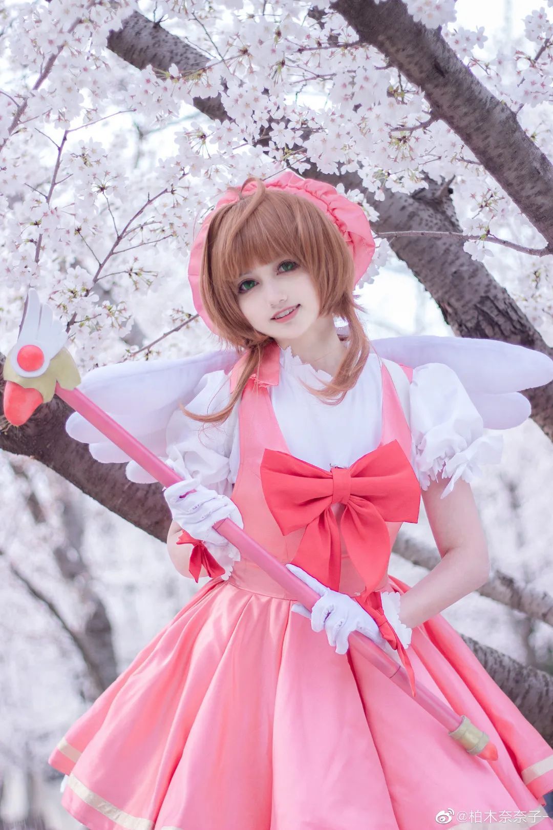 cosplay：【魔卡少女樱】木之本樱