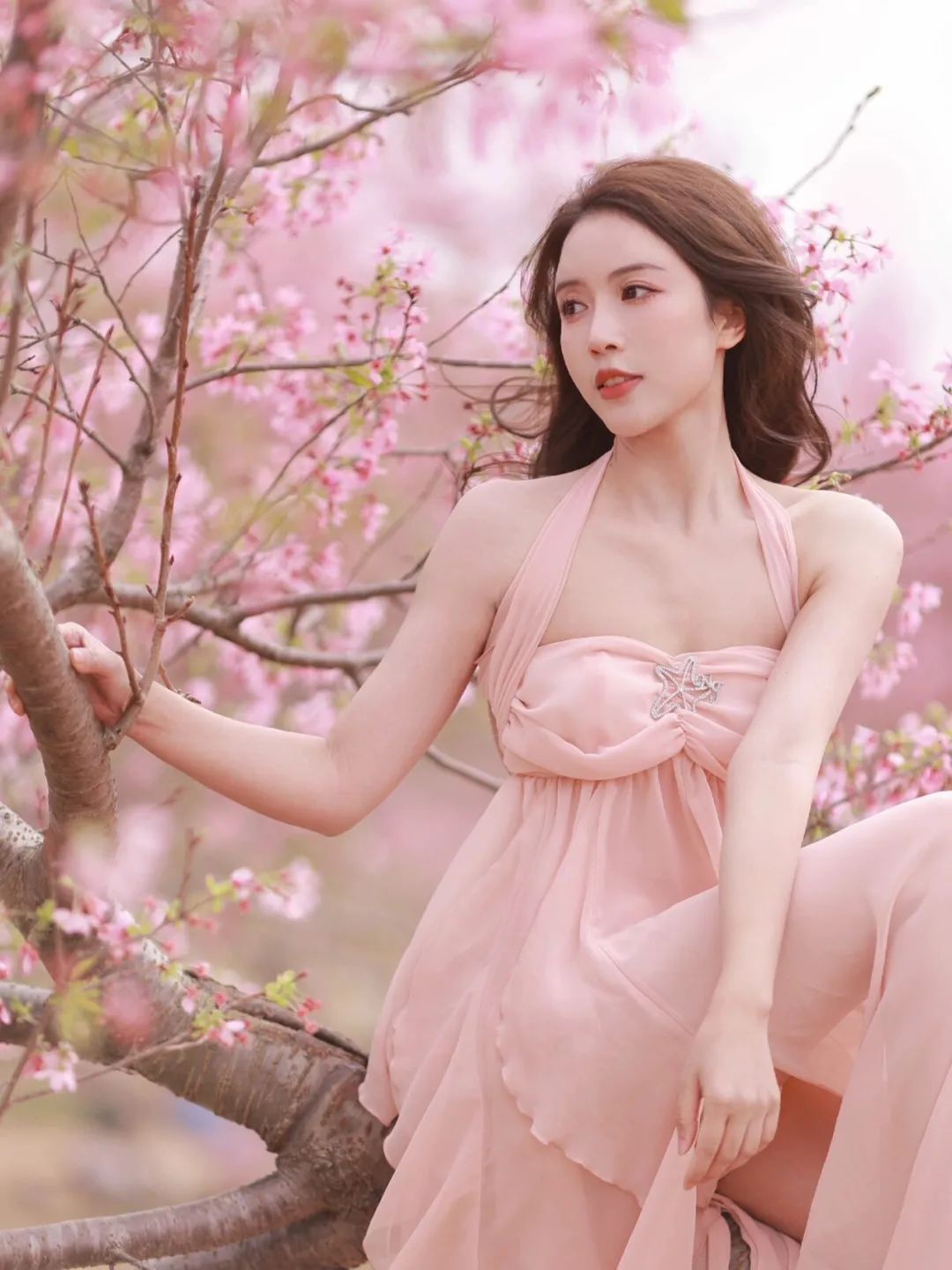 风有约，花不误
