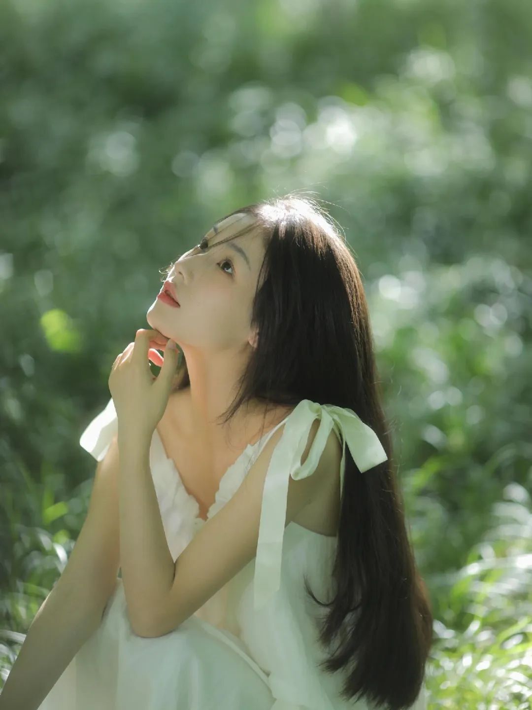 夏日小森林