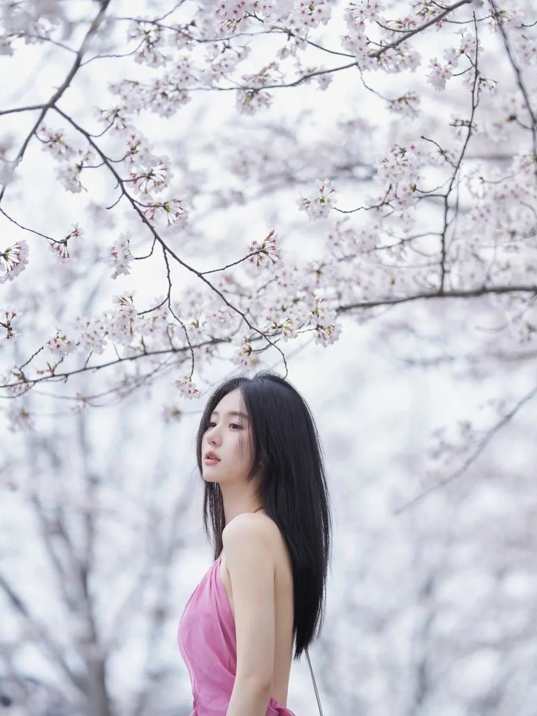 人美还是花美