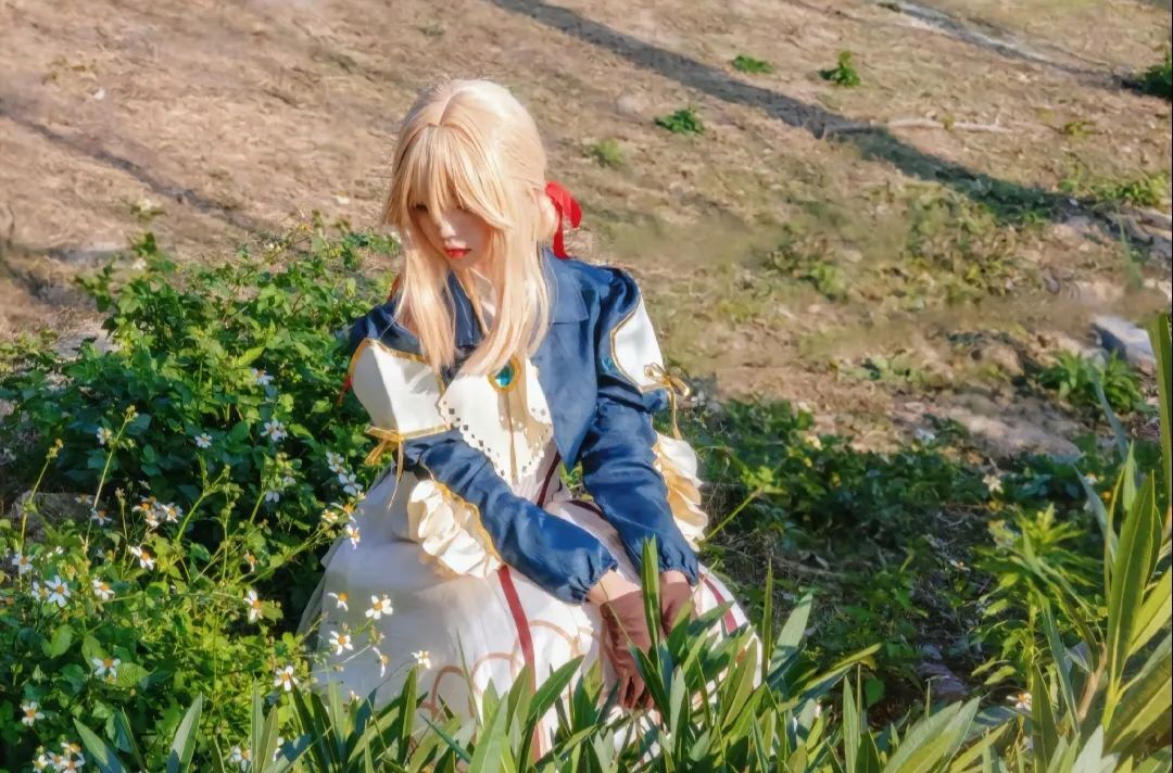 “花无凋零之日， 爱无传递之时 ，爱情恒古不变， 紫罗兰永世长存。#薇尔莉特#cos#紫罗兰永恒花园#甜妹