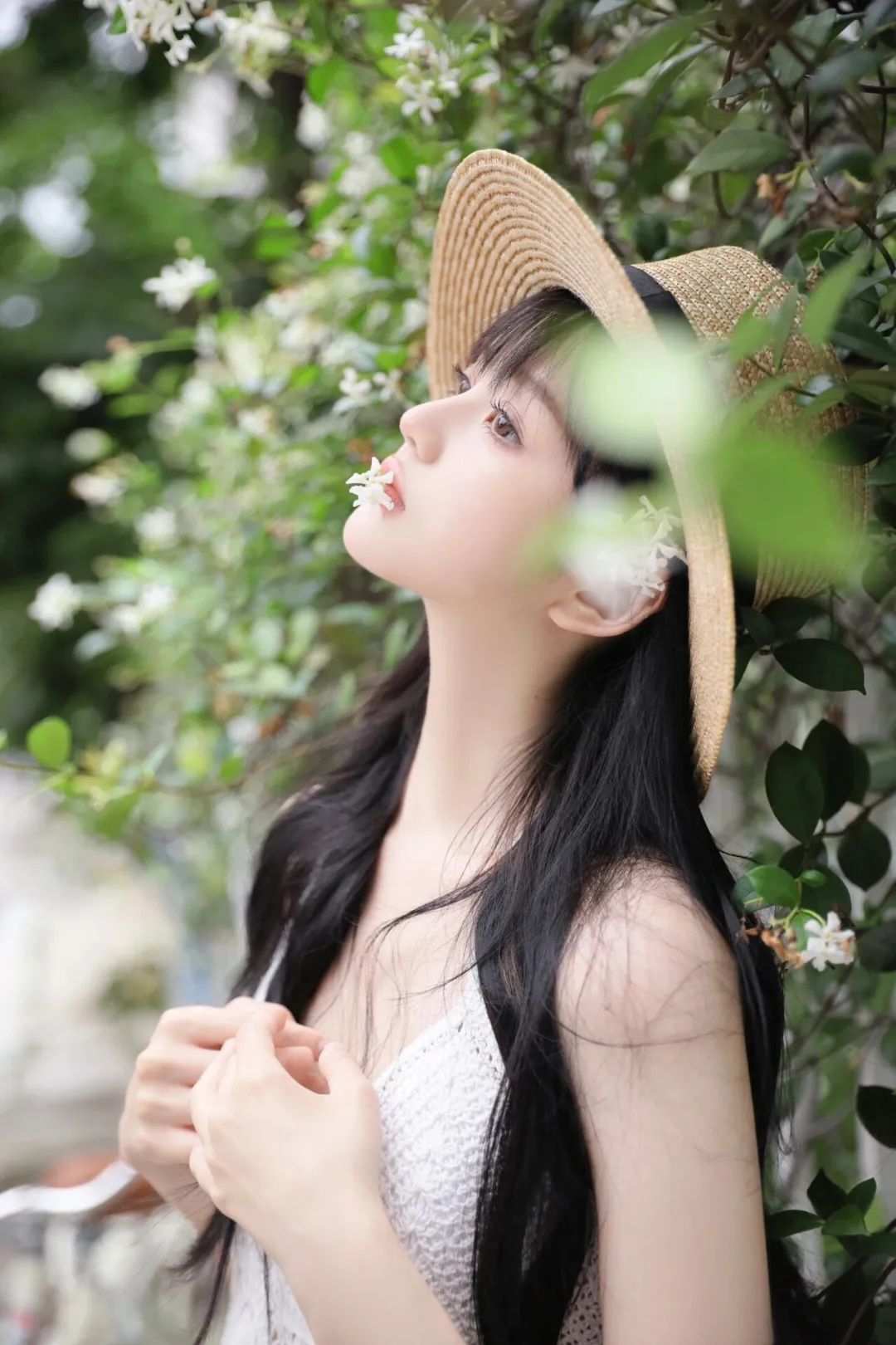 夏日单车少女